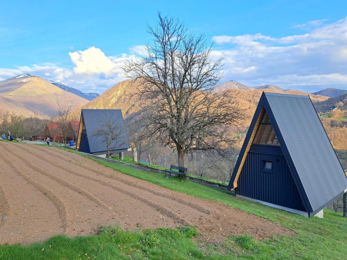 Fern Farm Tiny Home 모이코바츠 외부 사진