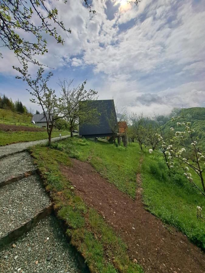 Fern Farm Tiny Home 모이코바츠 외부 사진