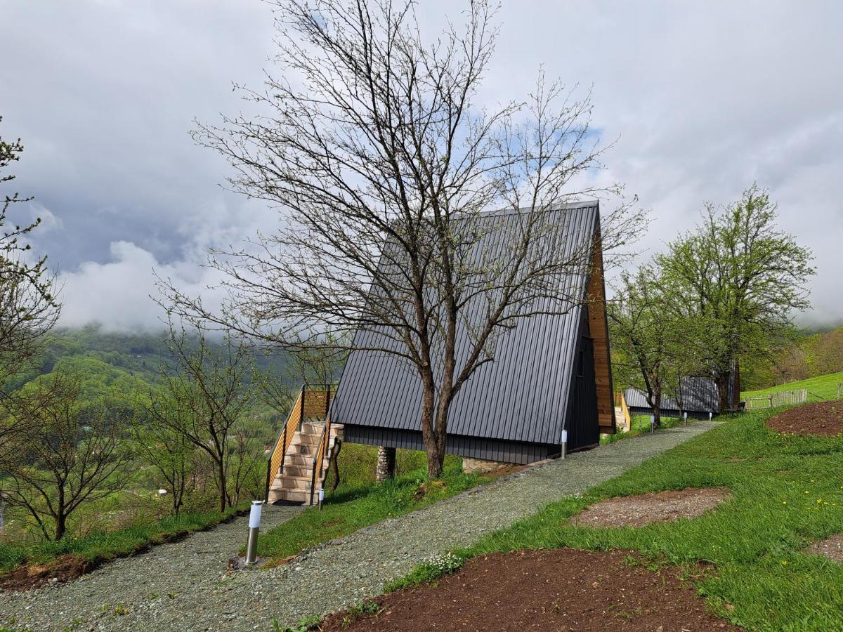 Fern Farm Tiny Home 모이코바츠 외부 사진