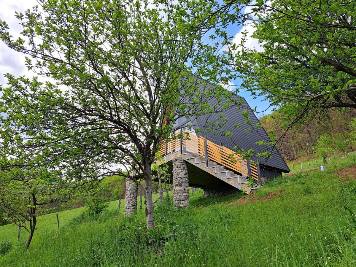 Fern Farm Tiny Home 모이코바츠 외부 사진
