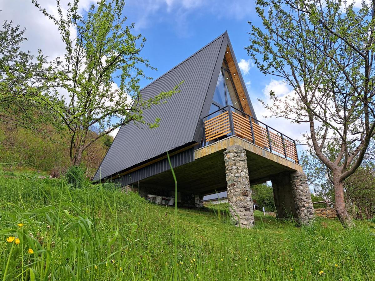 Fern Farm Tiny Home 모이코바츠 외부 사진