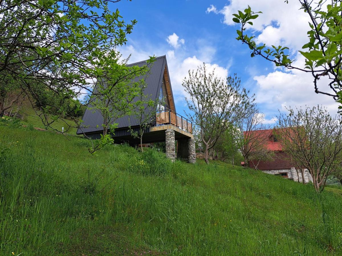Fern Farm Tiny Home 모이코바츠 외부 사진