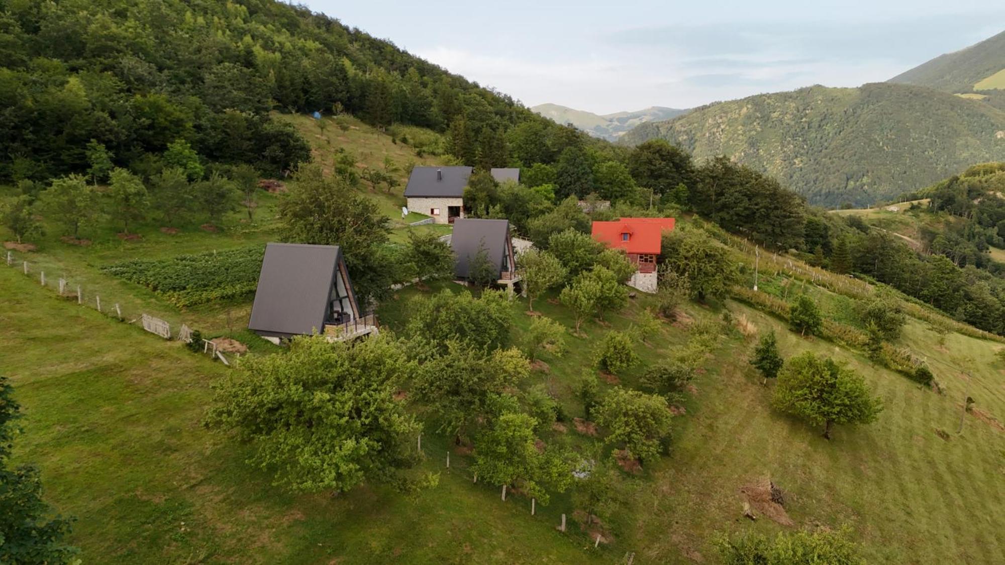 Fern Farm Tiny Home 모이코바츠 외부 사진