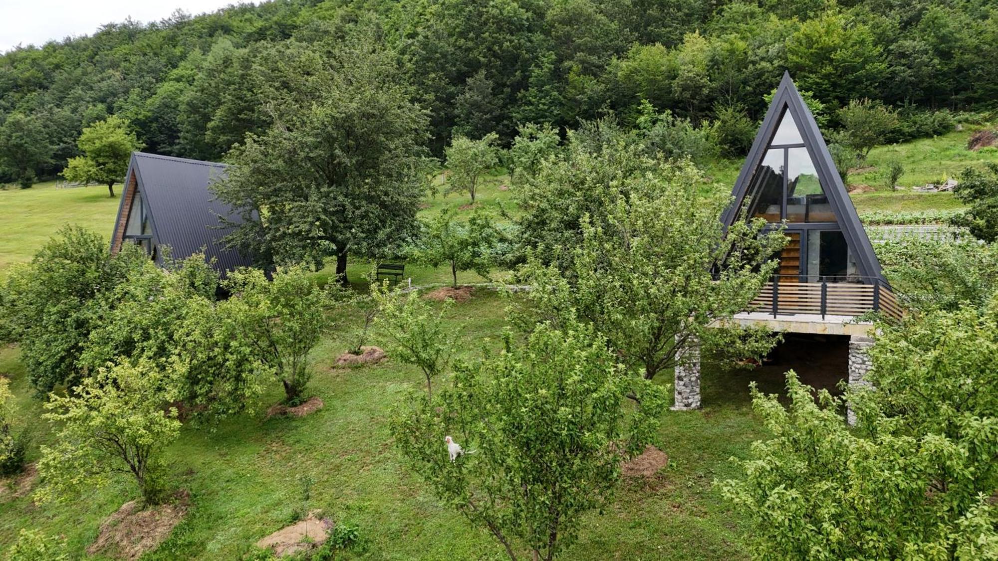Fern Farm Tiny Home 모이코바츠 외부 사진