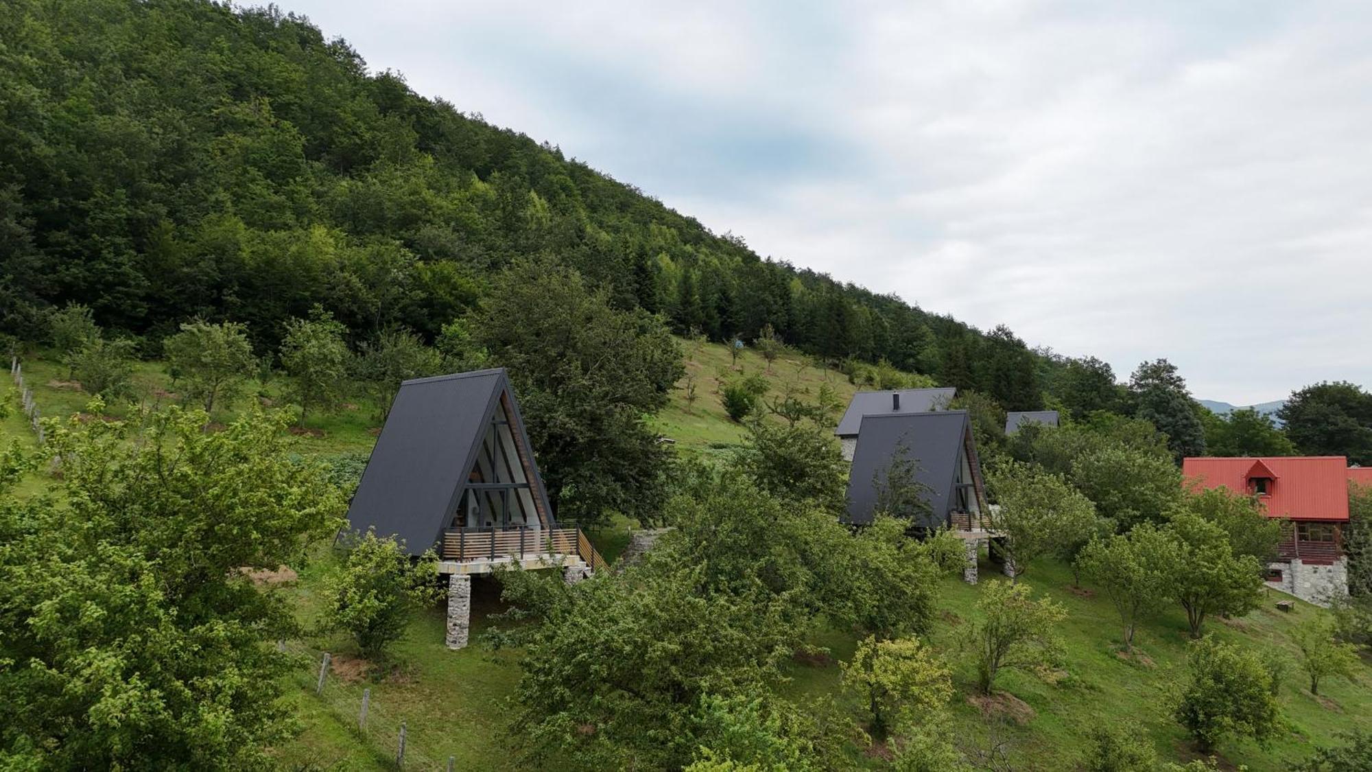 Fern Farm Tiny Home 모이코바츠 외부 사진