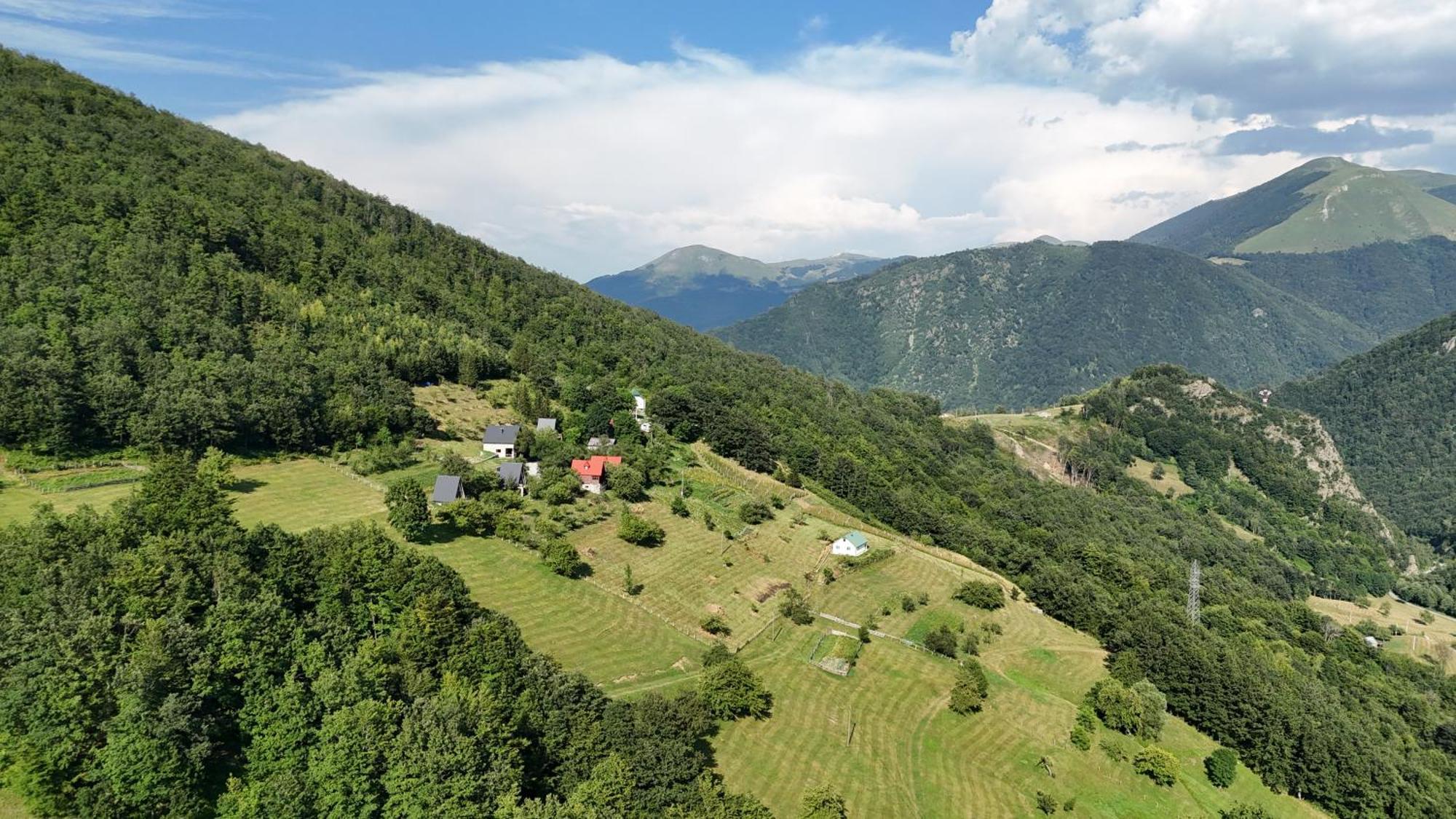 Fern Farm Tiny Home 모이코바츠 외부 사진