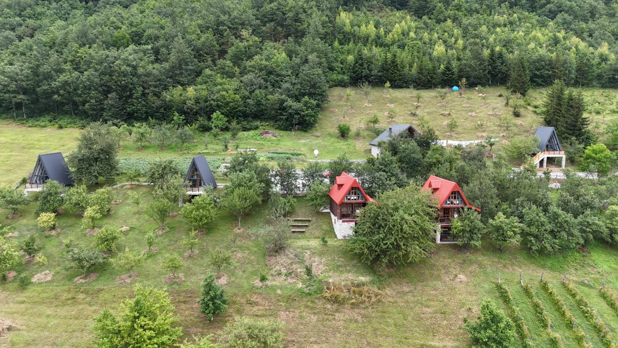 Fern Farm Tiny Home 모이코바츠 외부 사진