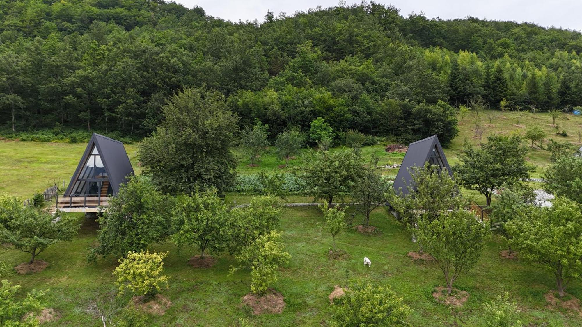 Fern Farm Tiny Home 모이코바츠 외부 사진