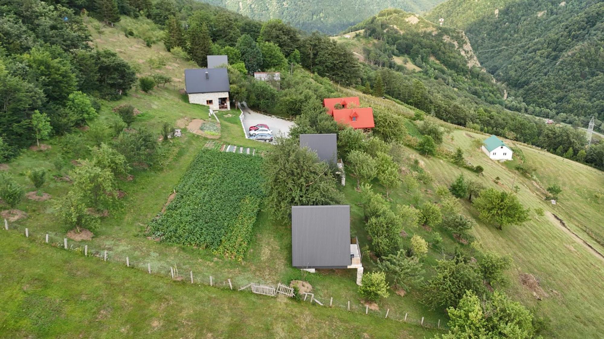 Fern Farm Tiny Home 모이코바츠 외부 사진